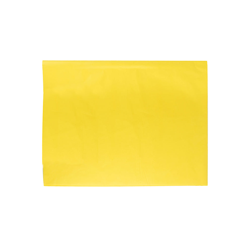 Papel Seda 50x75cm 25Fls