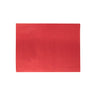 Papel Seda 50x75cm 25Fls