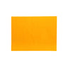 Papel Seda 50x75cm 25Fls