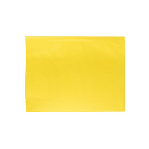 Papel Seda 50x75cm 25Fls