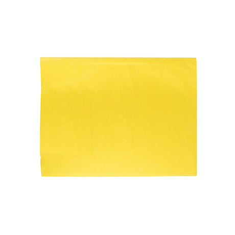 Papel Seda 50x75cm 25Fls