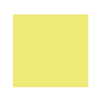 Cartolina 50x65cm 240g Kiwi CANSON 25 Folhas