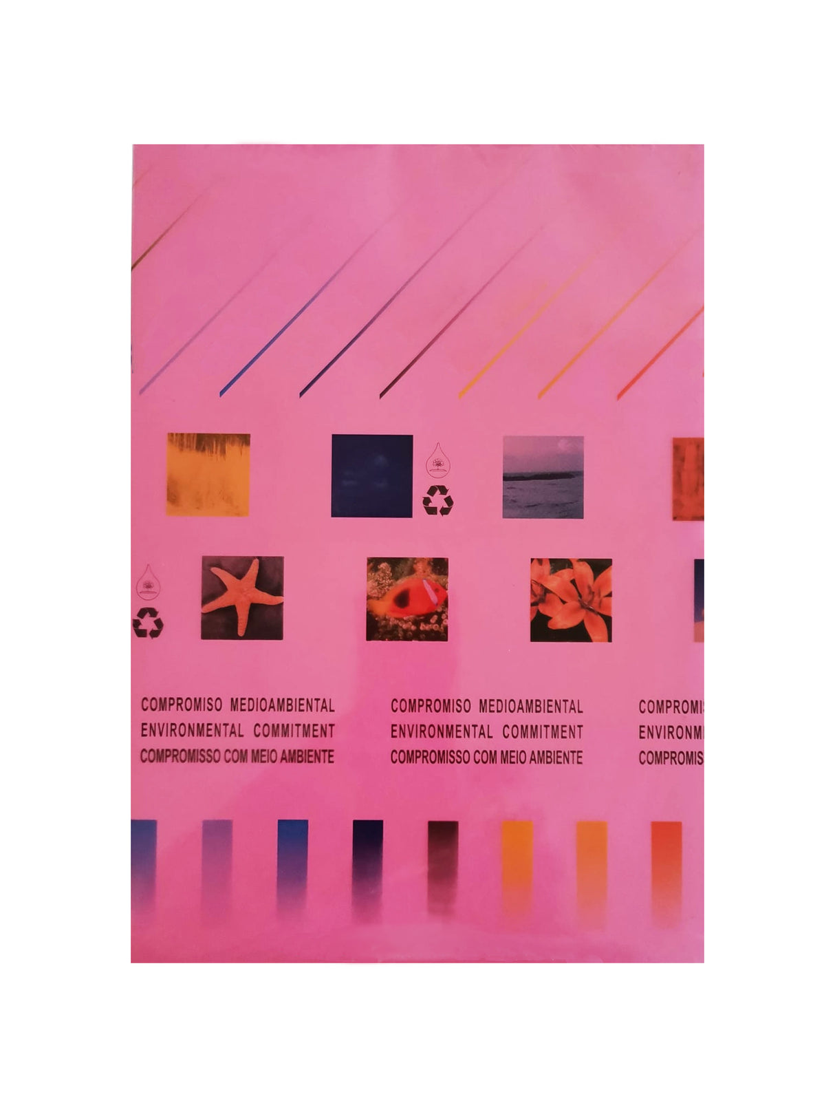 Papel Fotocopia A4 80gr 1x500Fls