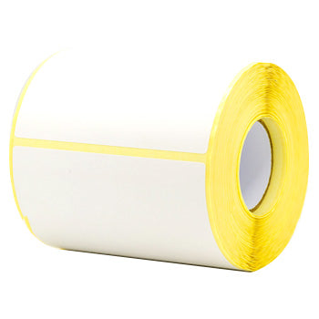 Etiquetas Térmicas Protegidas 102x152mm Rolo 8un